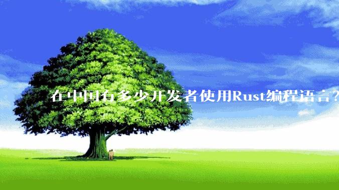 在中国有多少开发者使用Rust编程语言？