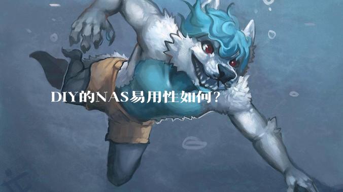 DIY的NAS易用性如何？