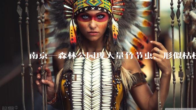 南京一森林公园现大量竹节虫，形似枯枝，网友称凑近才发现是虫子落荒而逃，竹节虫会不会咬人？碰到它会怎样？