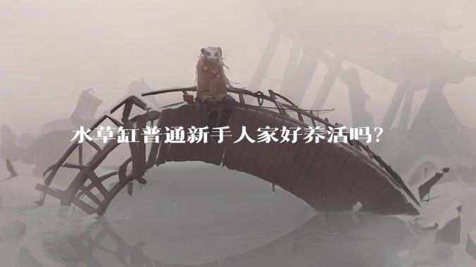 水草缸普通新手人家好养活吗？