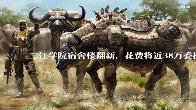 三江学院宿舍楼翻新，花费将近38万委托公司搬运行李，结果只有一个阿姨挑着扁担搬运行李，如何评价？