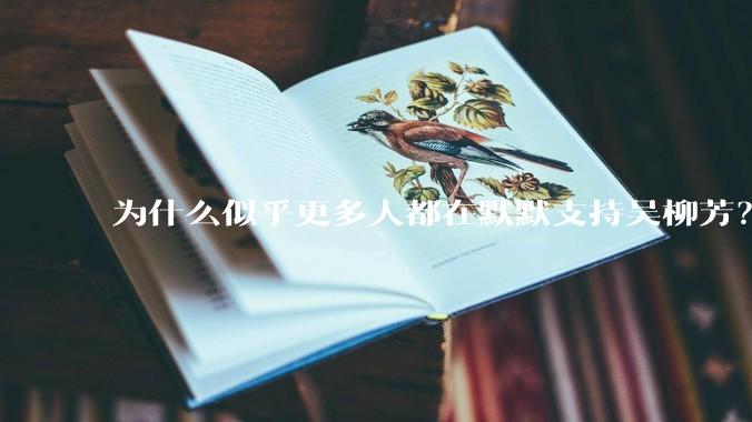 为什么似乎更多人都在默默支持吴柳芳？管晨辰是否做错了？
